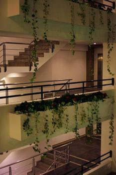 Hotel Balandra